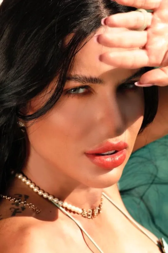 Bevini
